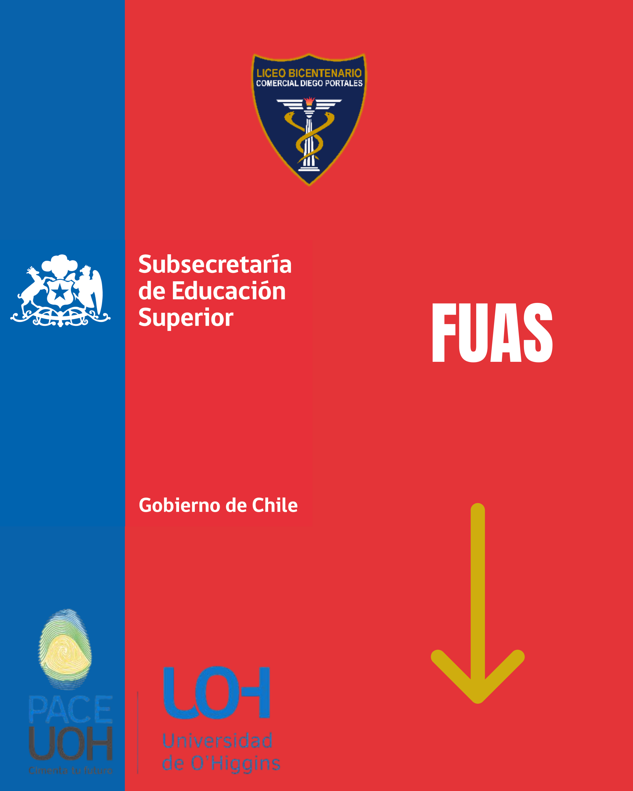 Vista previa del documento 2