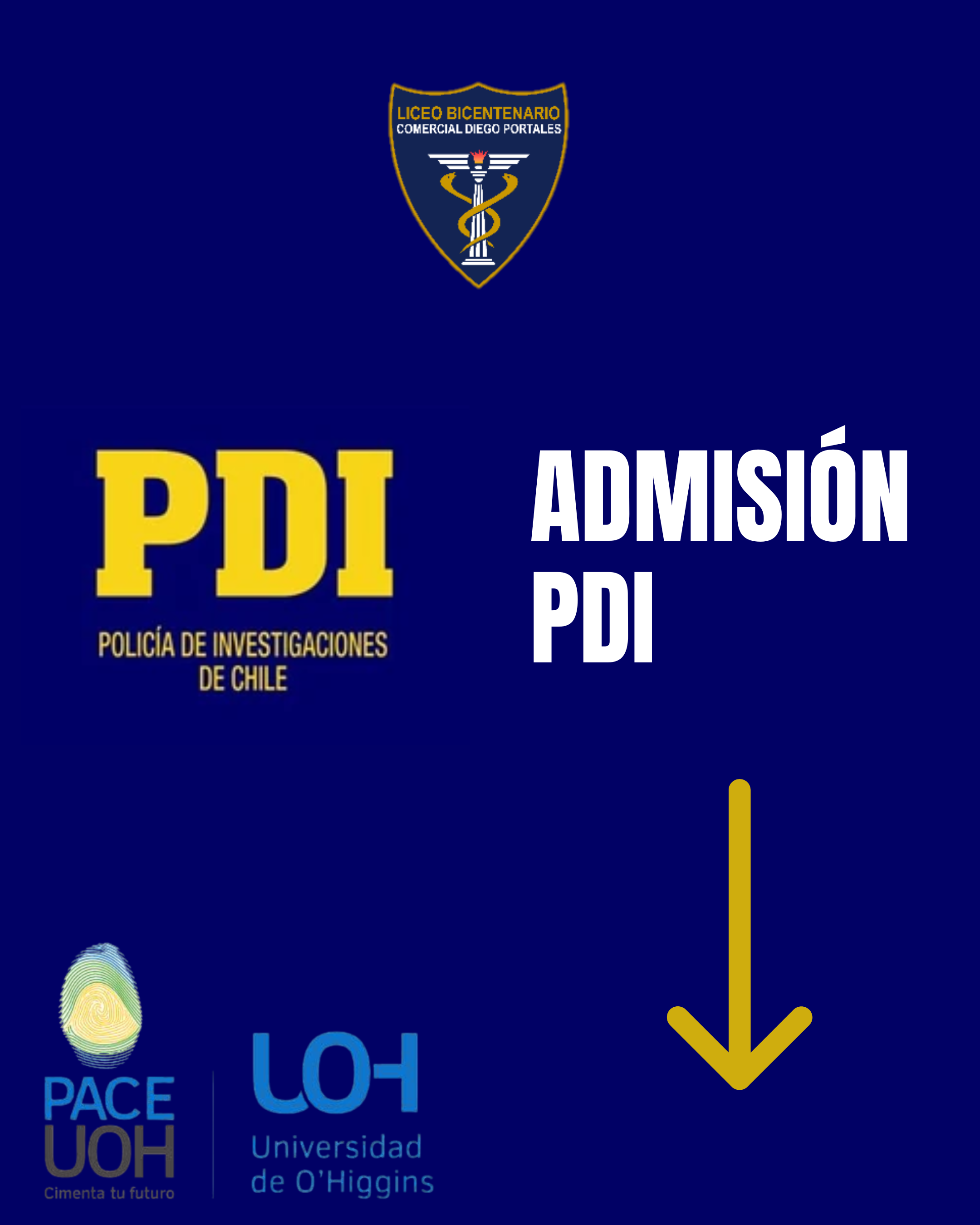 Vista previa del documento 4