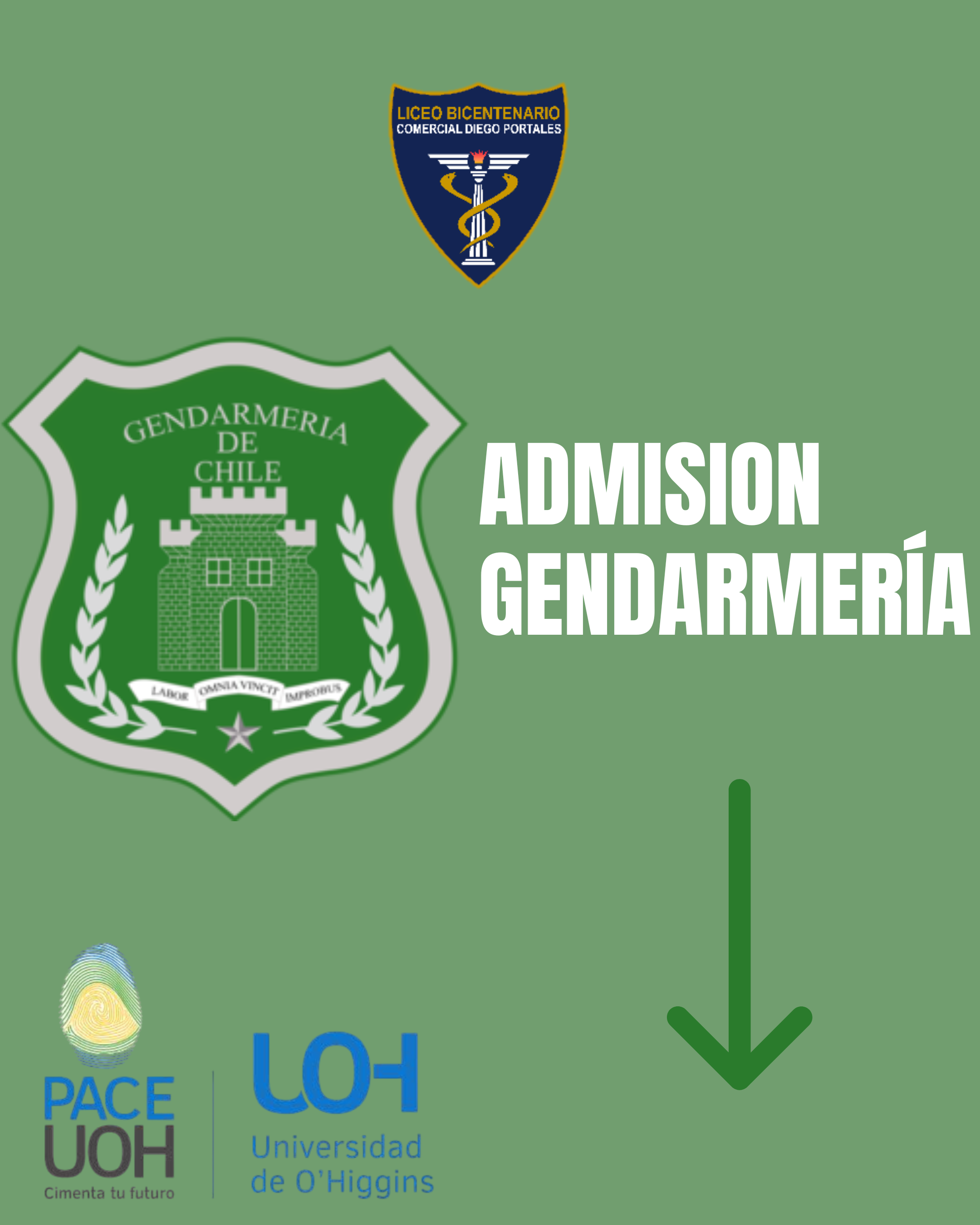 Vista previa del documento 3