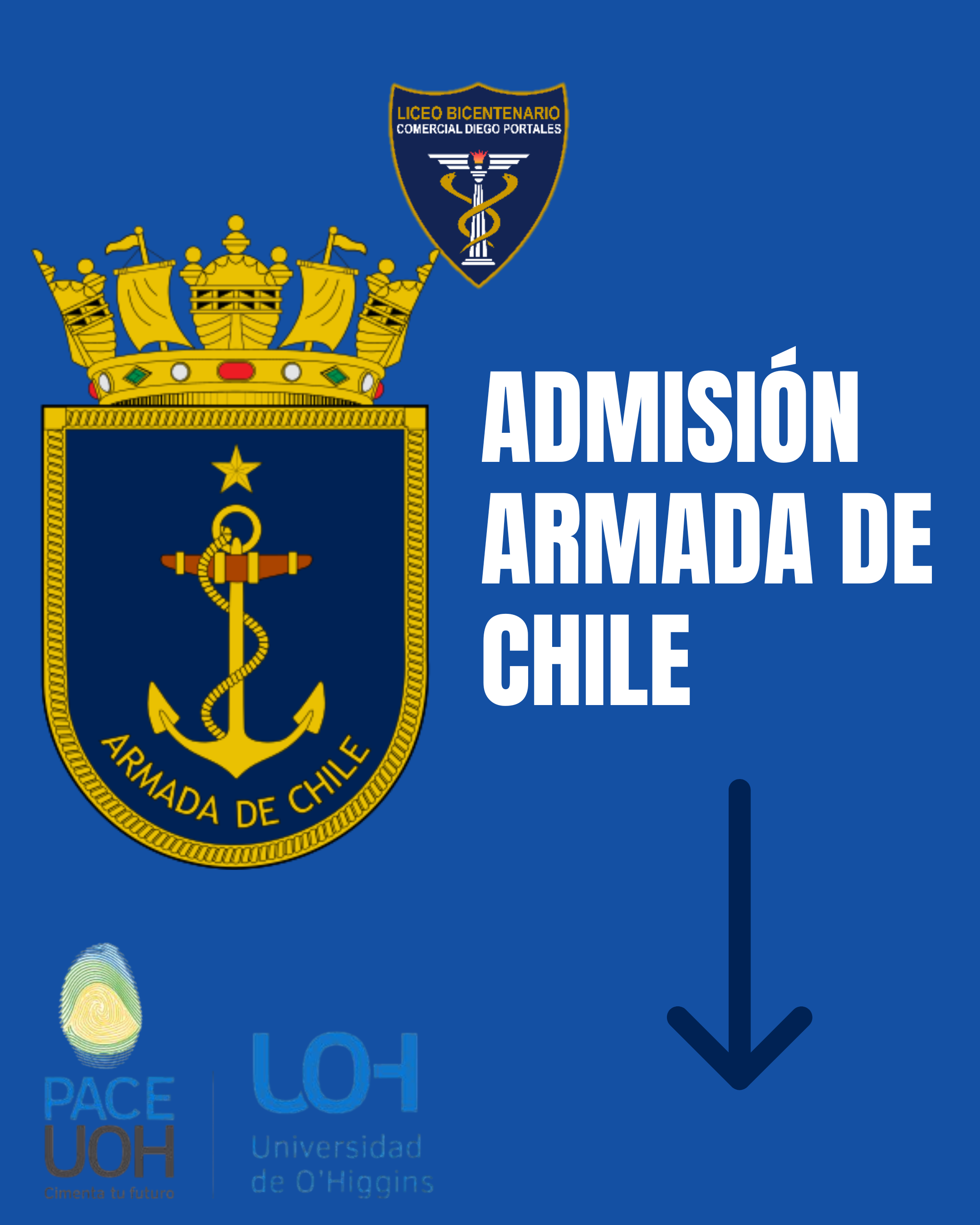 Vista previa del documento 6