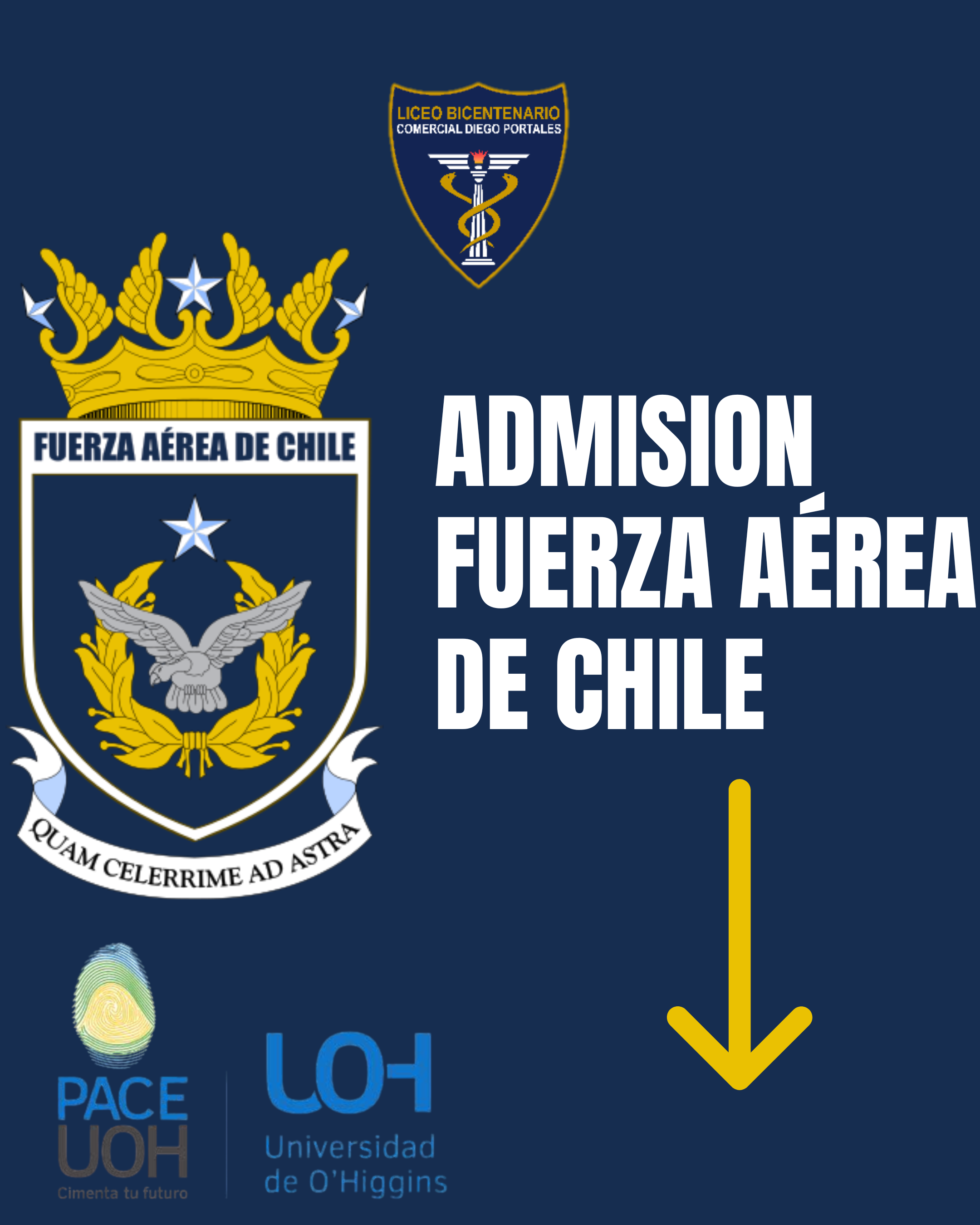 Vista previa del documento 2