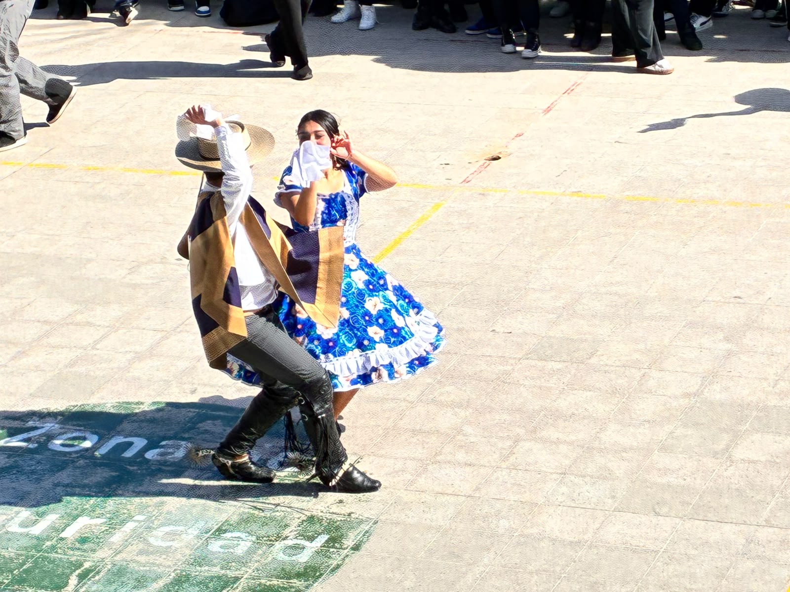 Imagen 14