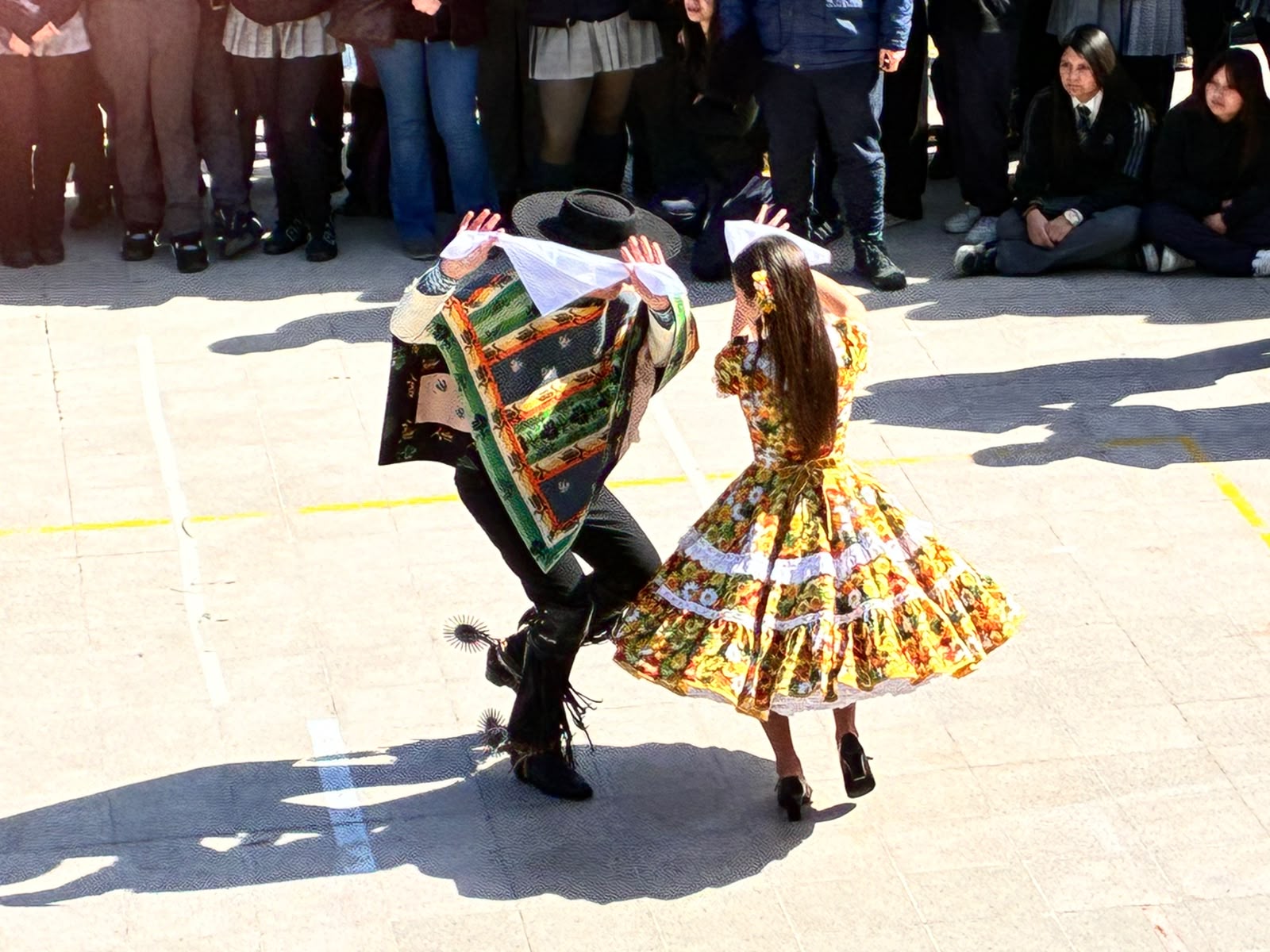 Imagen 15
