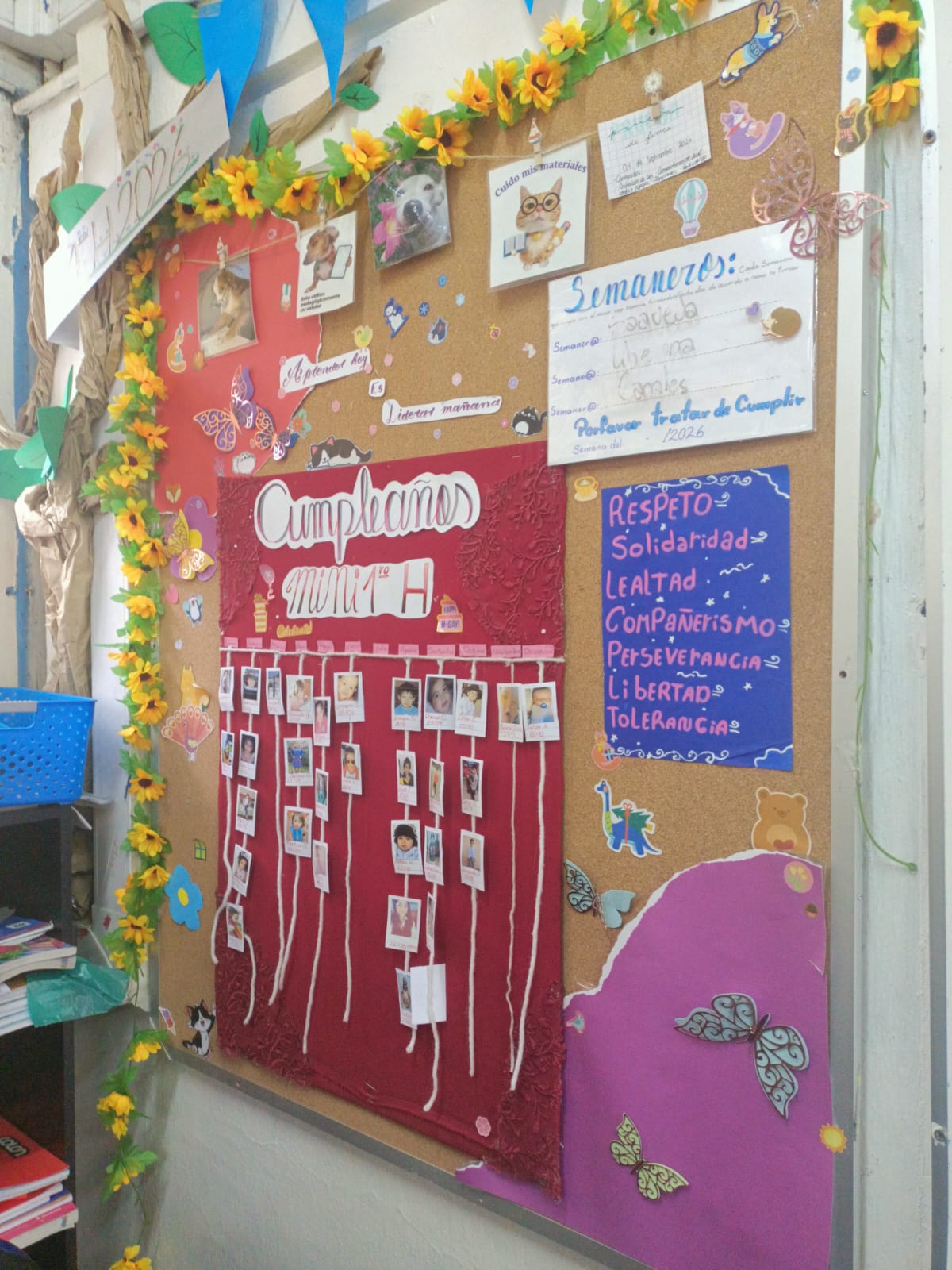 Imagen 6